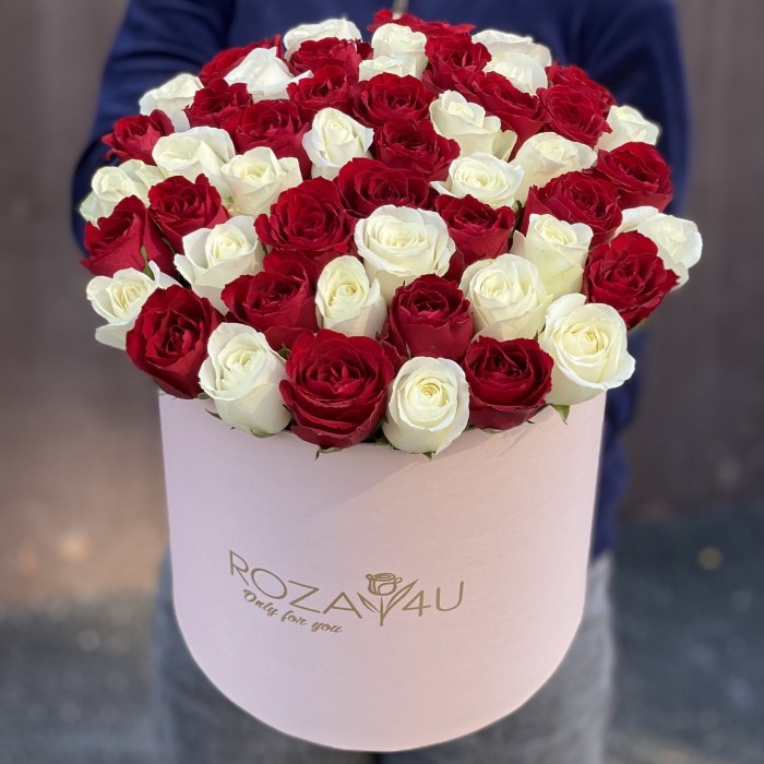 51 роза красно-белый микс коробке